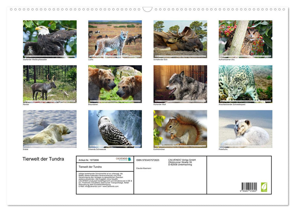 Tierwelt der Tundra (CALVENDO Wandkalender 2026)