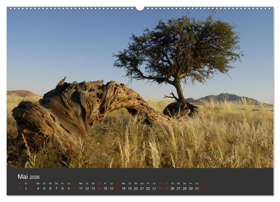 Wüstenbäume (CALVENDO Wandkalender 2026)