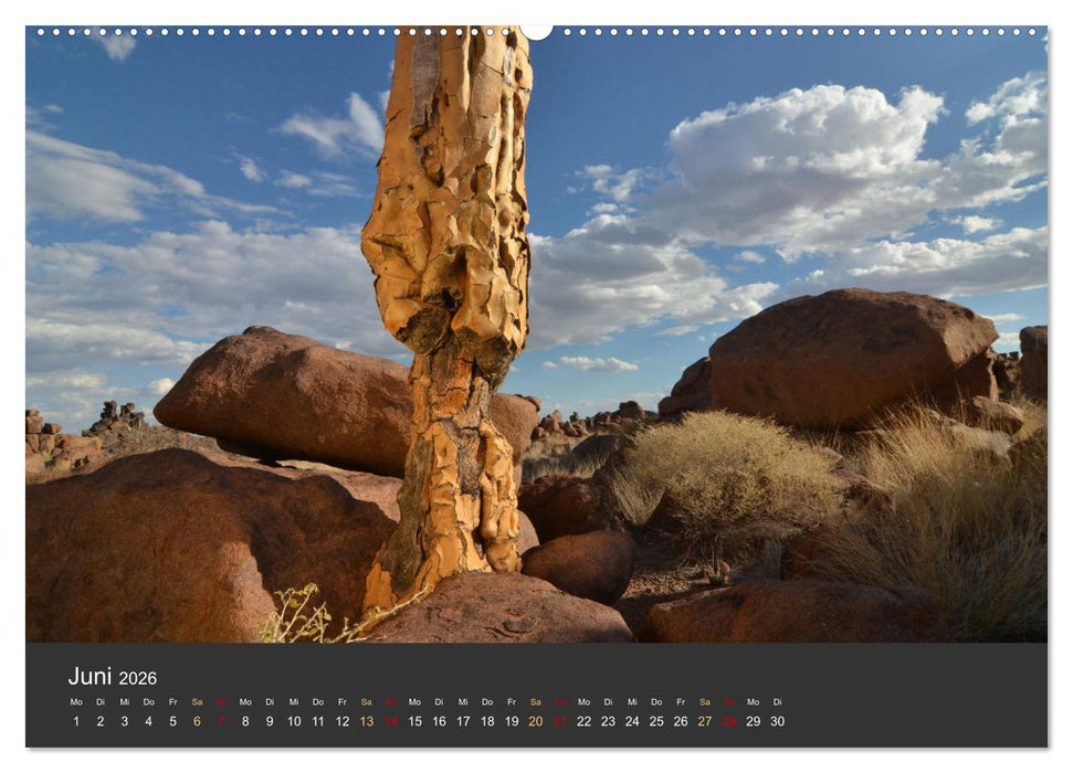 Wüstenbäume (CALVENDO Wandkalender 2026)