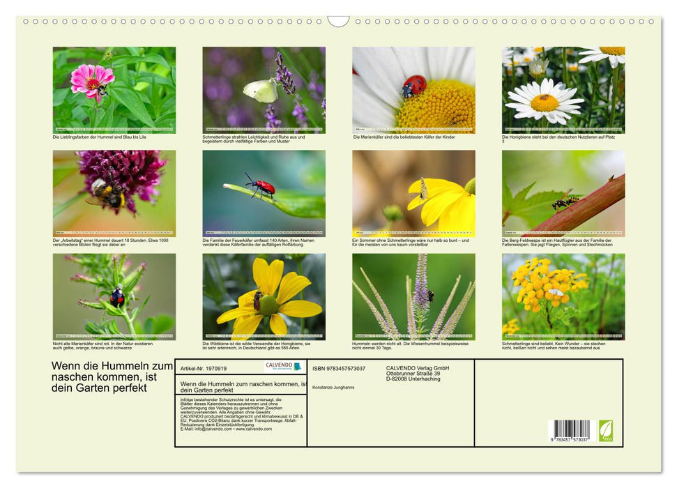 Wenn die Hummeln zum naschen kommen, ist dein Garten perfekt (CALVENDO Wandkalender 2026)
