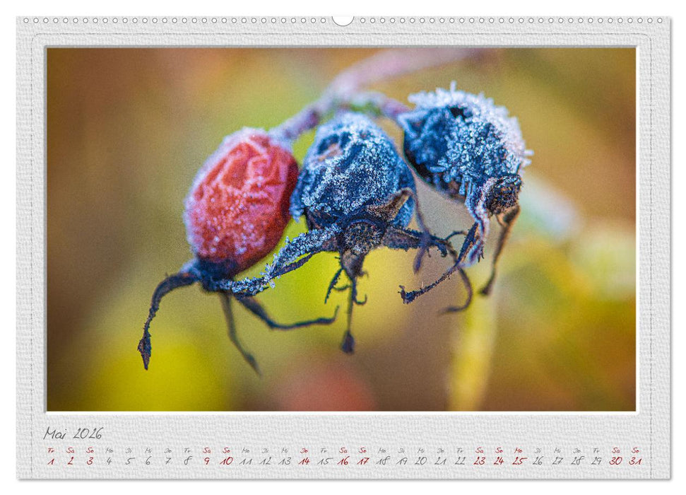 EisKalt Gestaltet (CALVENDO Wandkalender 2026)