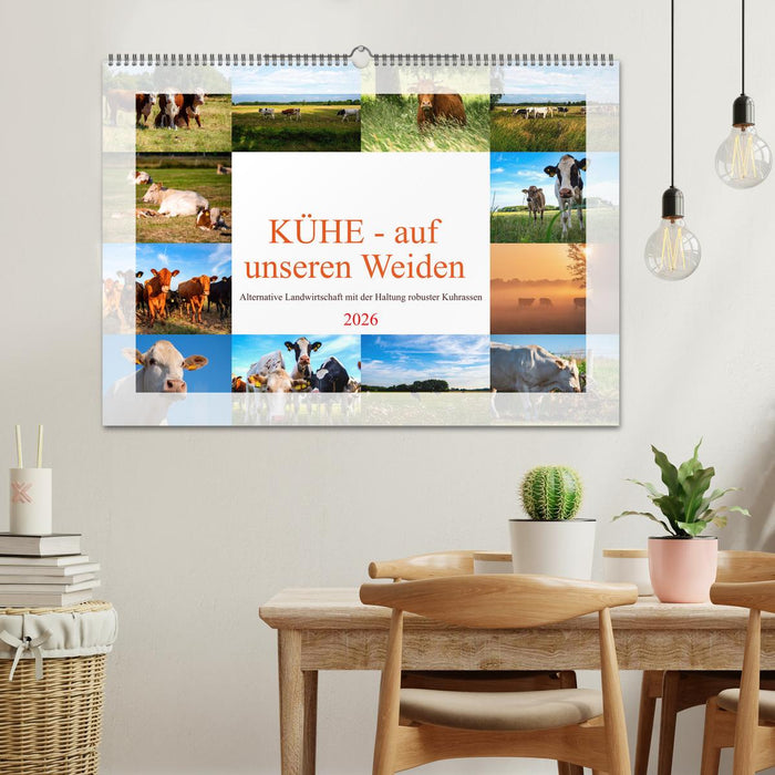 Kühe - auf unseren Weiden (CALVENDO Wandkalender 2026)