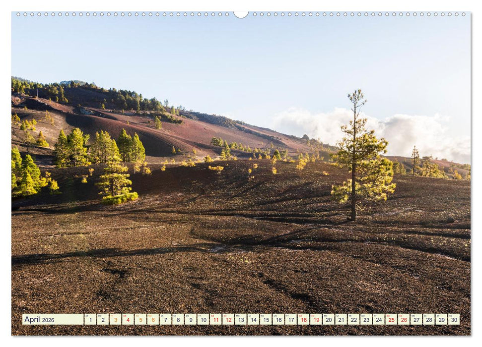 LA PALMA - DIE TRAUMINSEL (CALVENDO Wandkalender 2026)