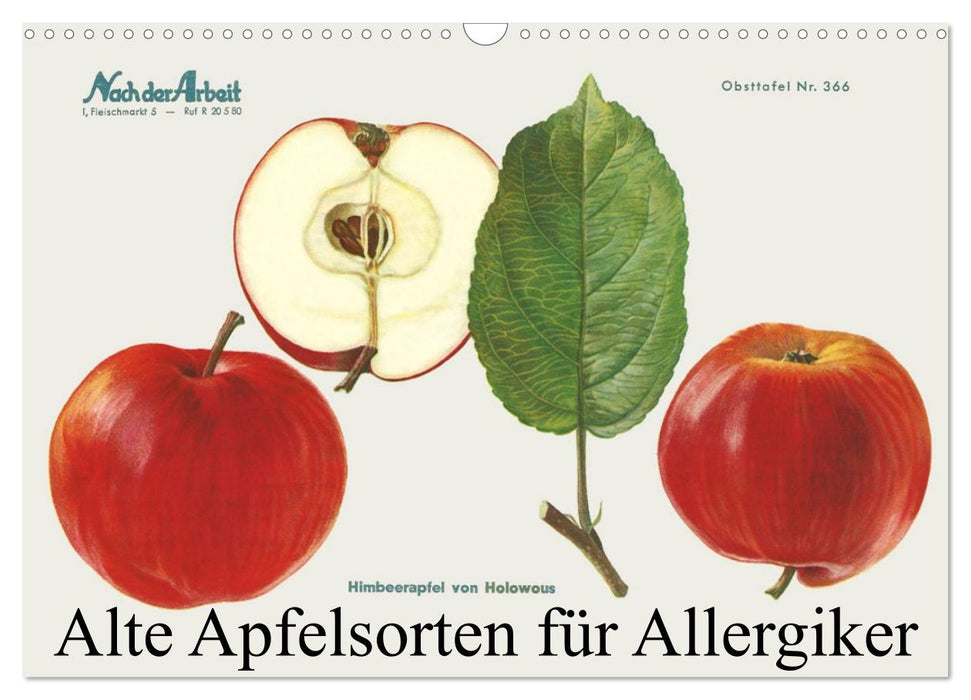 Alte Apfelsorten für Allergiker (CALVENDO Wandkalender 2026)