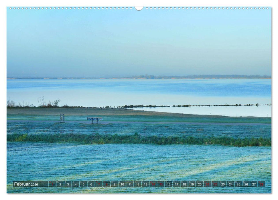 Dümmer, Malerische See-Momente (CALVENDO Wandkalender 2026)