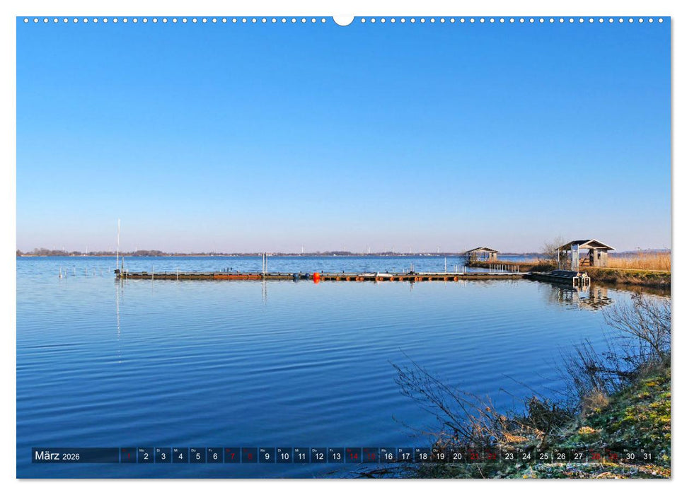 Dümmer, Malerische See-Momente (CALVENDO Wandkalender 2026)