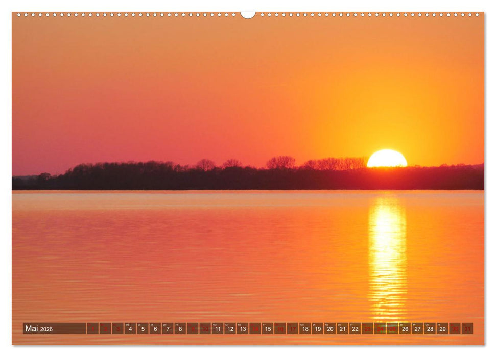 Dümmer, Malerische See-Momente (CALVENDO Wandkalender 2026)