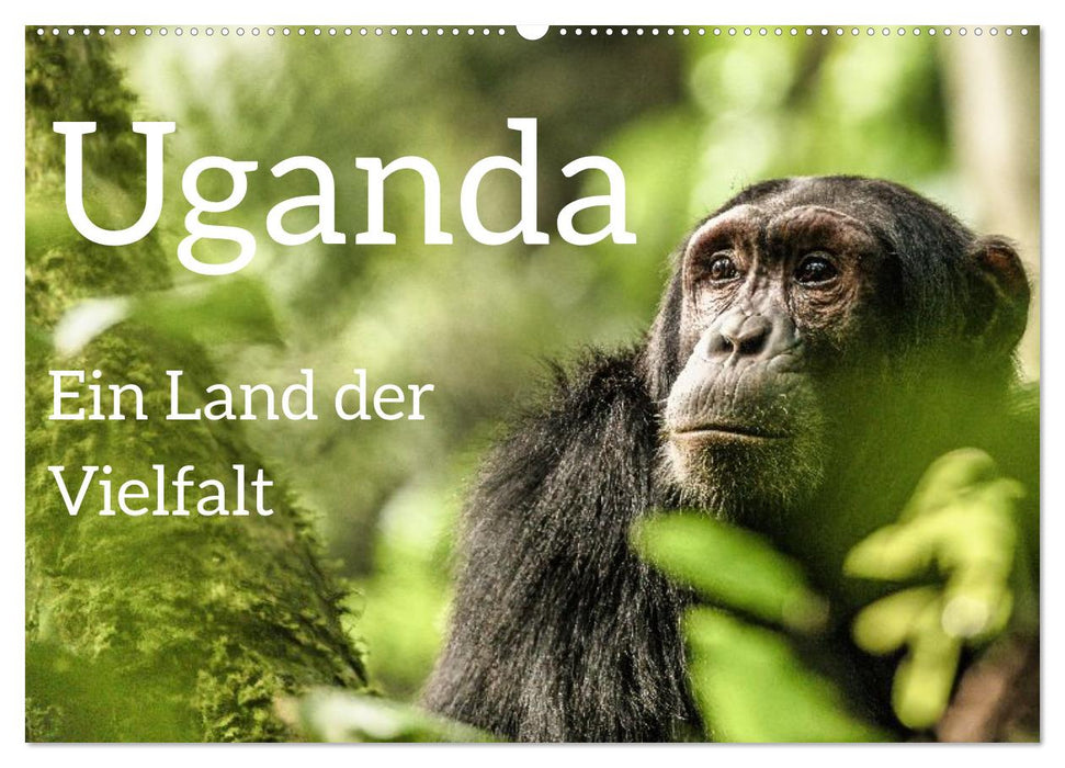 Uganda - ein Land der Vielfalt (CALVENDO Wandkalender 2026)