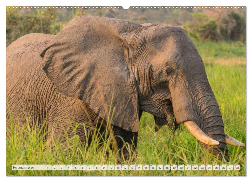 Uganda - ein Land der Vielfalt (CALVENDO Wandkalender 2026)
