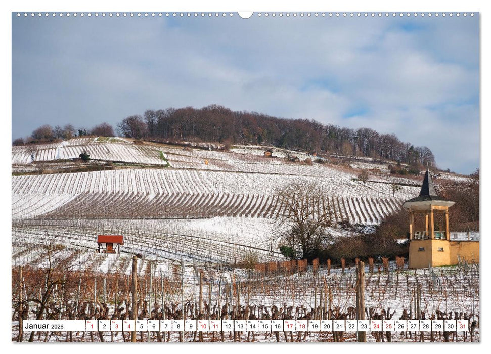 Liebliche Bergstraße - Burgen, Wein und Fachwerk (CALVENDO Wandkalender 2026)