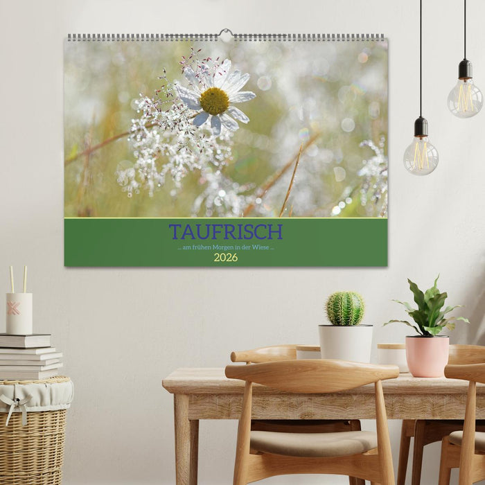 Taufrisch ... am frühen Morgen in der Wiese (CALVENDO Wandkalender 2026)
