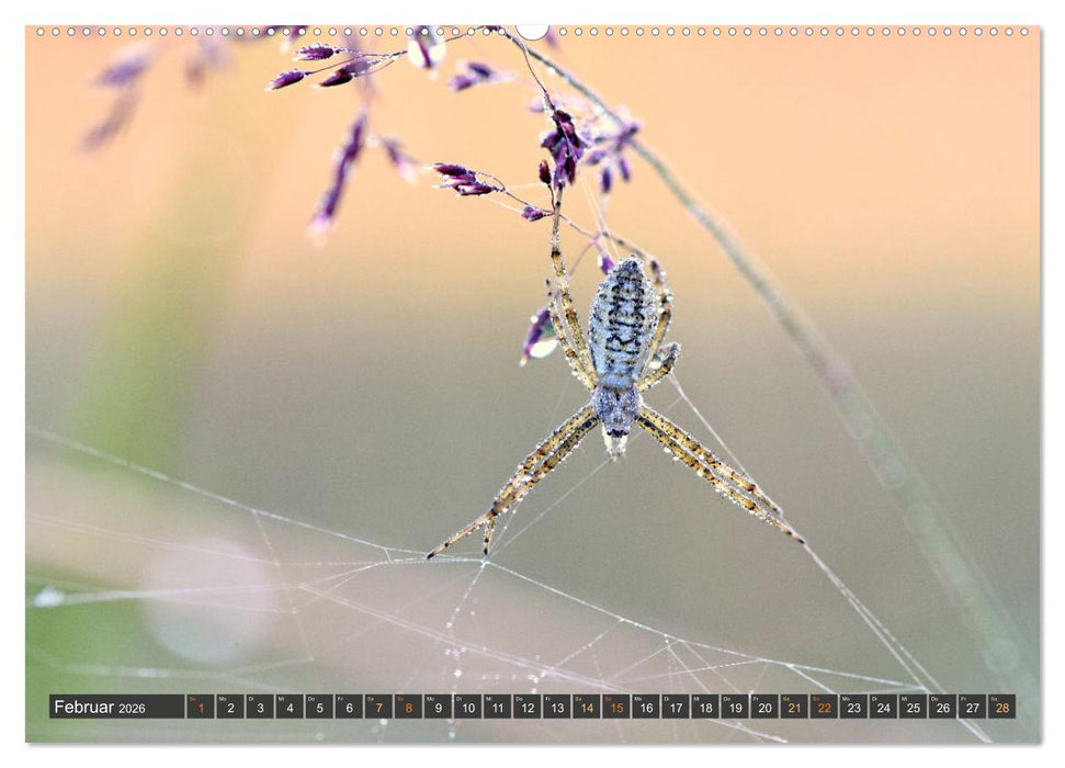 Taufrisch ... am frühen Morgen in der Wiese (CALVENDO Wandkalender 2026)