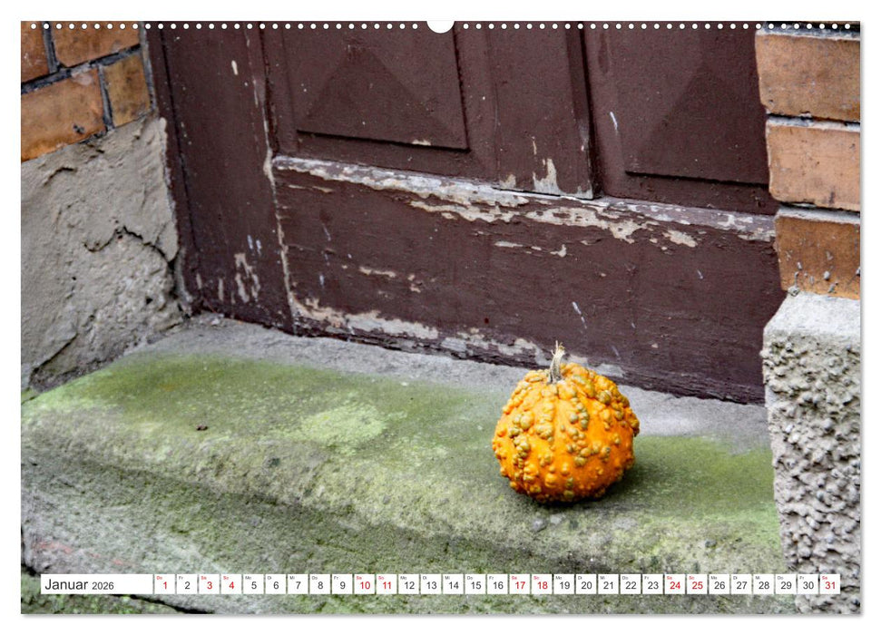 FUNDSTÜCKE am Wegesrand (CALVENDO Wandkalender 2026)