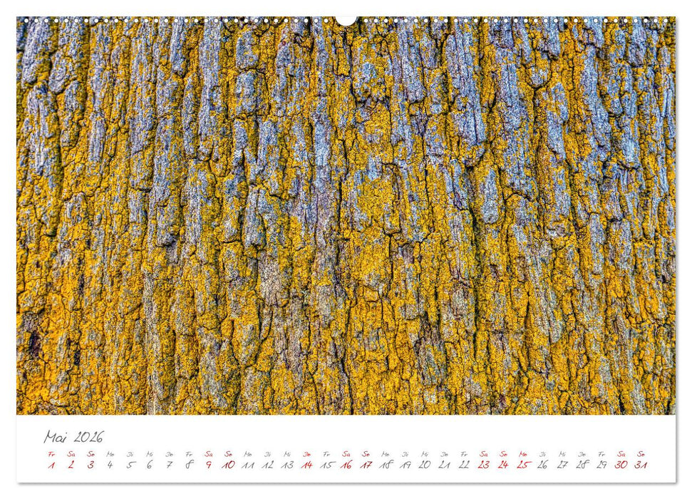 Symbol für Unsterblichkeit und Kraft (CALVENDO Wandkalender 2026)