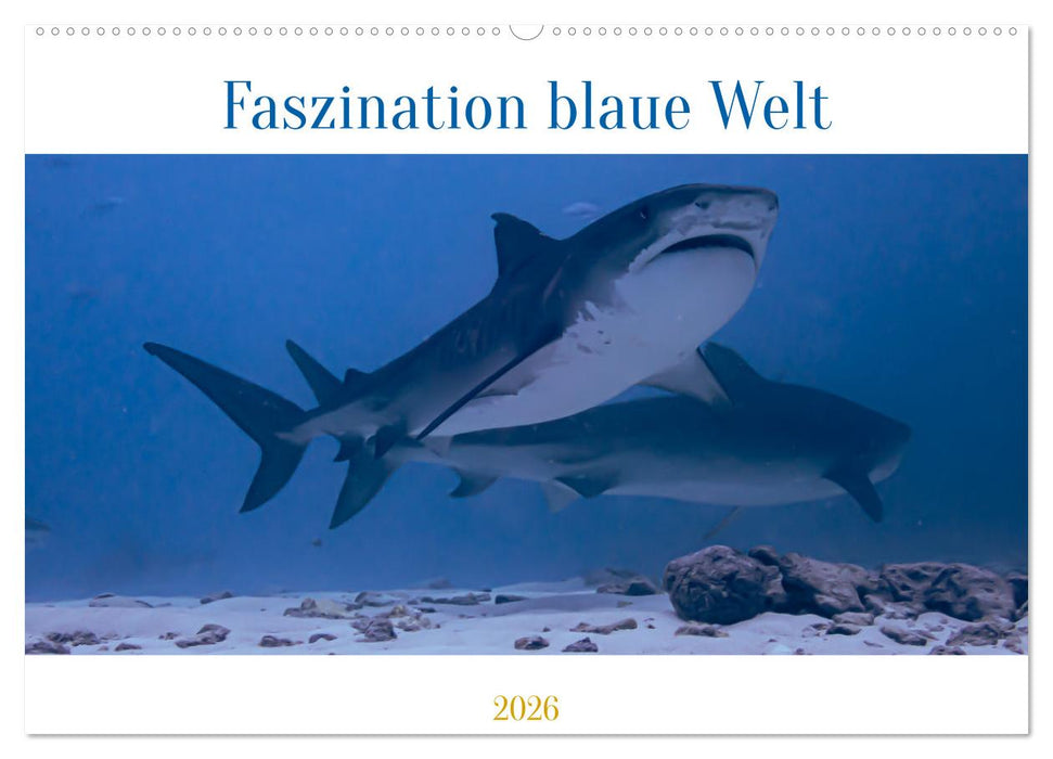 Faszination blaue Welt (CALVENDO Wandkalender 2026)