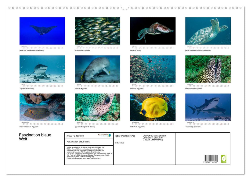 Faszination blaue Welt (CALVENDO Wandkalender 2026)