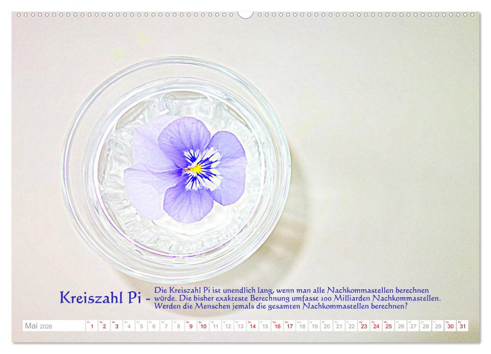 Vermeintliche Gottesbeweise - Nachdenk-Kalender (CALVENDO Wandkalender 2026)