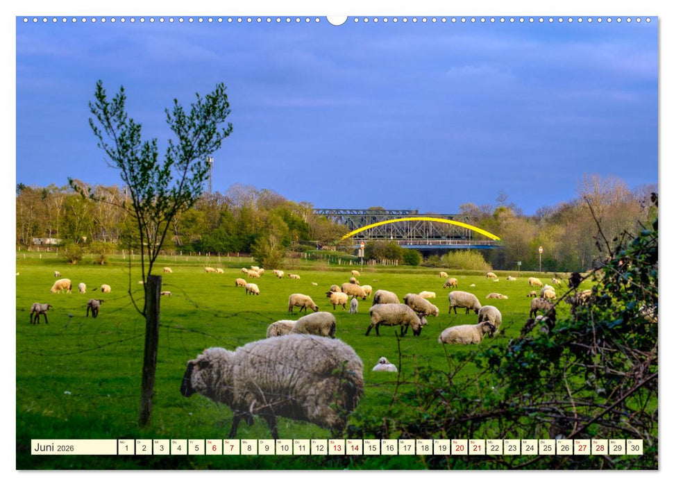 Duisburg - Brücken über Brücken (CALVENDO Wandkalender 2026)