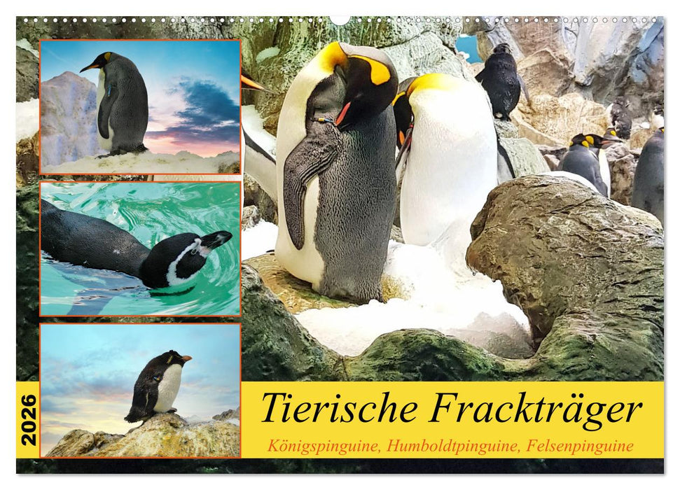 Tierische Frackträger (CALVENDO Wandkalender 2026)