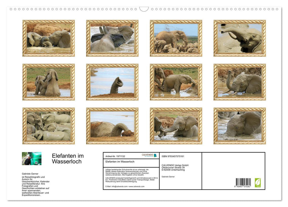 Elefanten im Wasserloch (CALVENDO Wandkalender 2026)