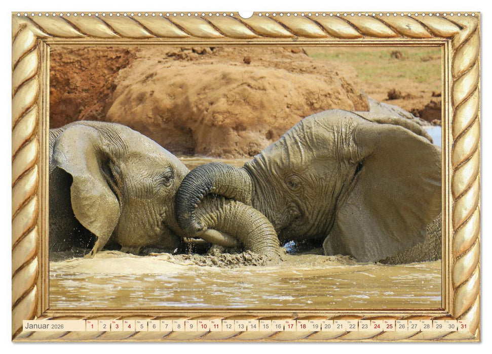 Elefanten im Wasserloch (CALVENDO Wandkalender 2026)