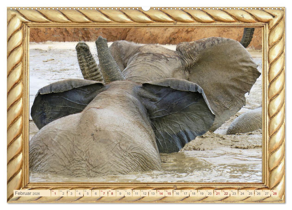 Elefanten im Wasserloch (CALVENDO Wandkalender 2026)