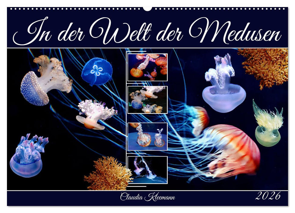 In der Welt der Medusen (CALVENDO Wandkalender 2026)