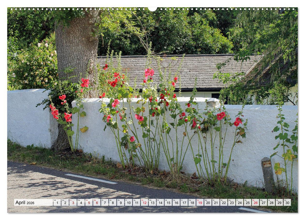 Skandinavien, der wildromantische Norden Europas (CALVENDO Wandkalender 2026)