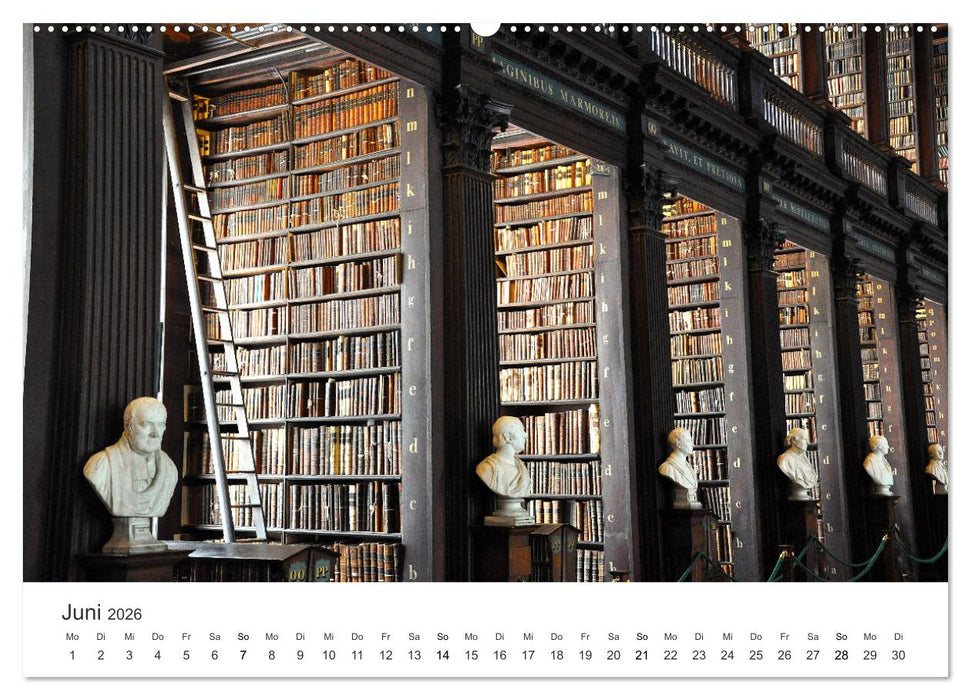 Dublin - Irlands beeindruckende Hauptstadt. (CALVENDO Premium Wandkalender 2026)