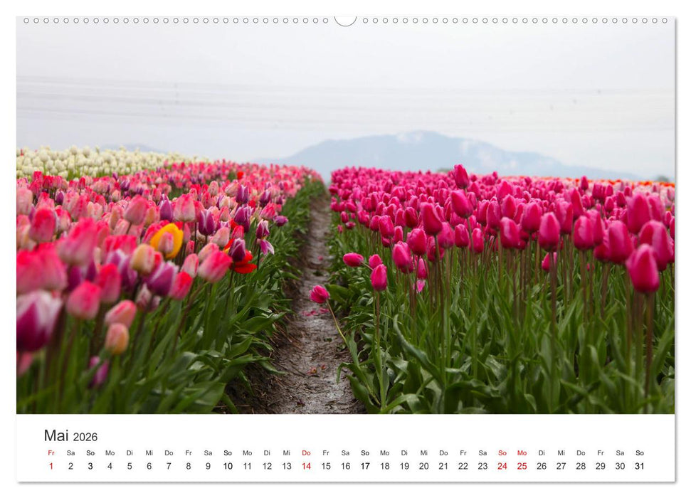 Weisheit - Der Weg ist das Ziel (CALVENDO Wandkalender 2026)