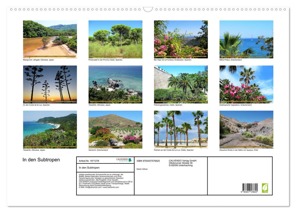 In den Subtropen (CALVENDO Wandkalender 2026)
