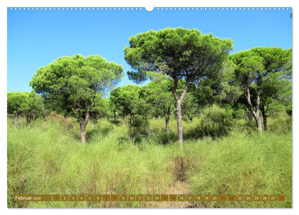 In den Subtropen (CALVENDO Wandkalender 2026)
