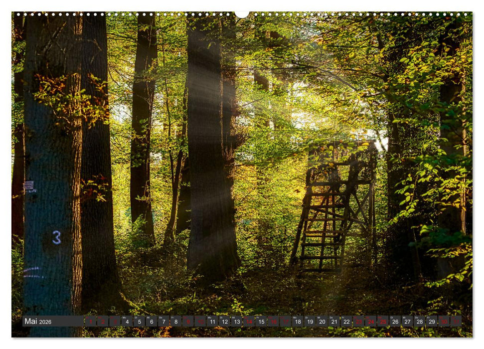 Landschaften unserer Heimat (CALVENDO Wandkalender 2026)