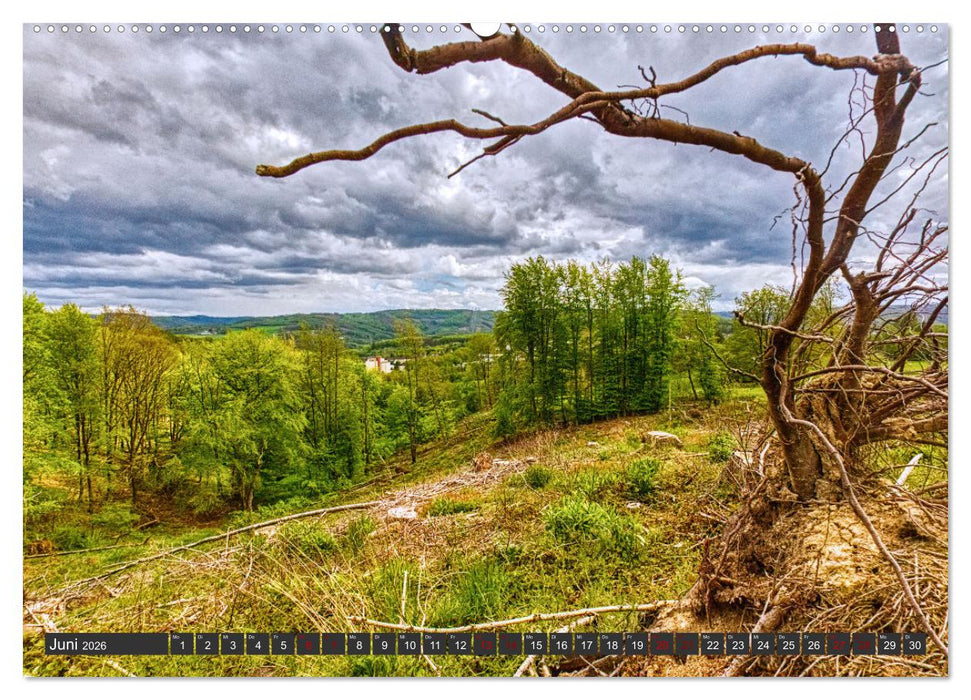 Landschaften unserer Heimat (CALVENDO Wandkalender 2026)