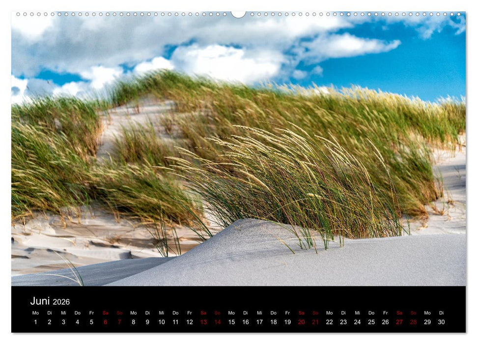 Reise entlang der polnischen Oststee (CALVENDO Wandkalender 2026)