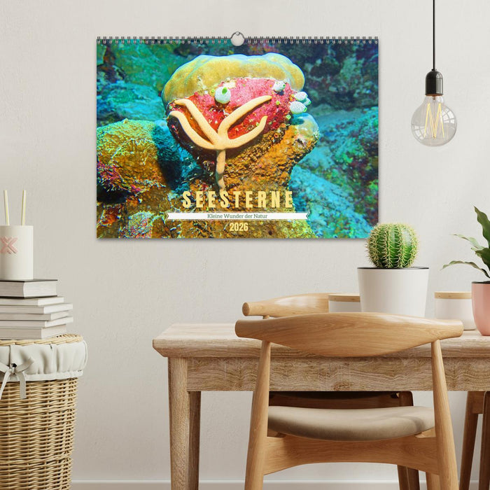 Seesterne - Kleine Wunder der Natur (CALVENDO Wandkalender 2026)