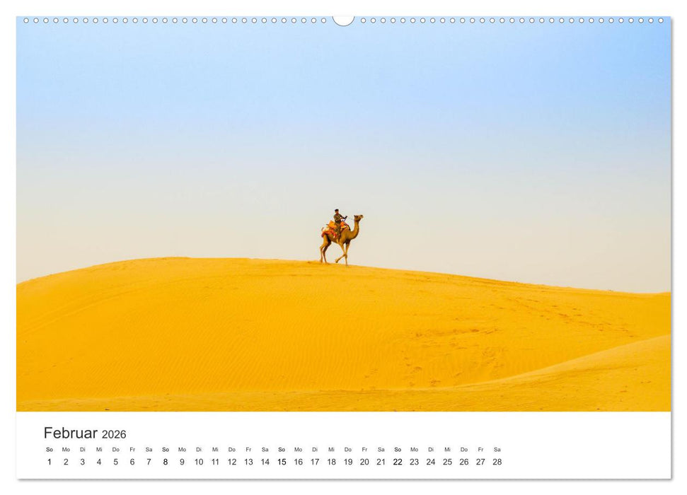Kamele - die wahren Überlebenskünstler der Wüste. (CALVENDO Premium Wandkalender 2026)
