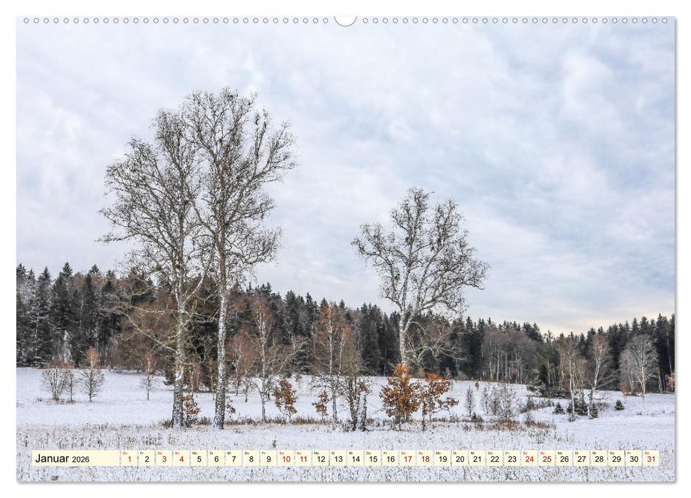Naturpark Obere Donau (CALVENDO Premium Wandkalender 2026)