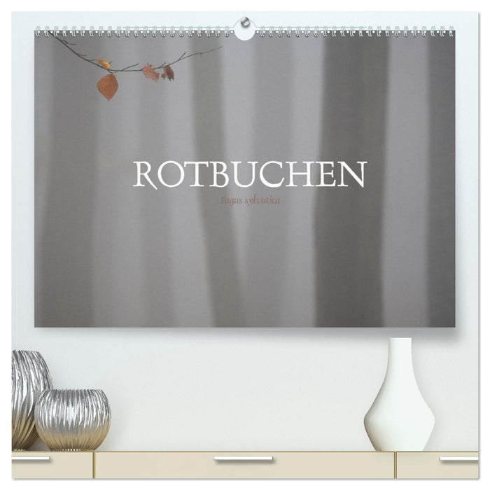 Rotbuchen (CALVENDO Premium Wandkalender 2026)