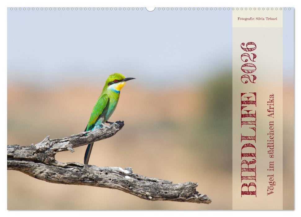 Birdlife - Vögel im südlichen Afrika (CALVENDO Wandkalender 2026)