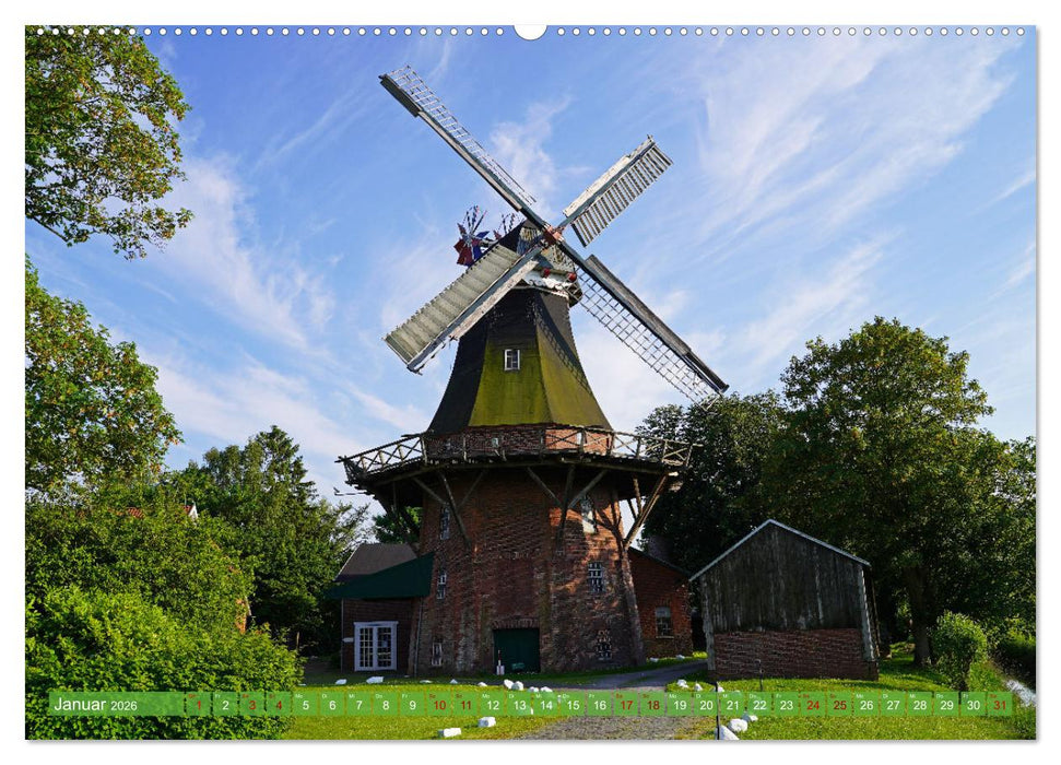 Faszination Galerieholländer (CALVENDO Premium Wandkalender 2026)