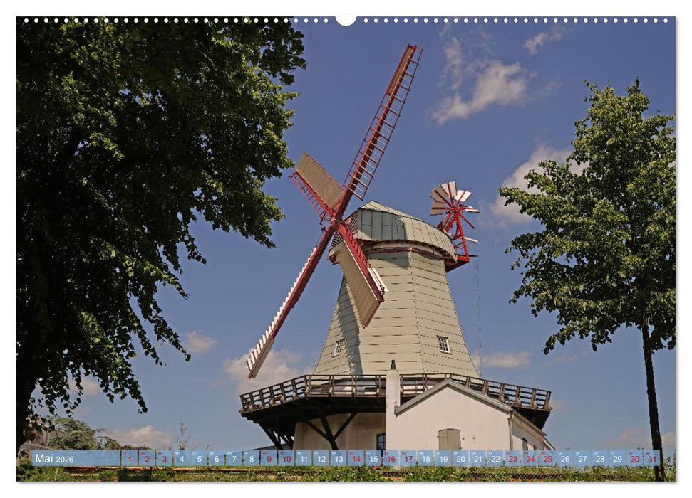 Faszination Galerieholländer (CALVENDO Premium Wandkalender 2026)