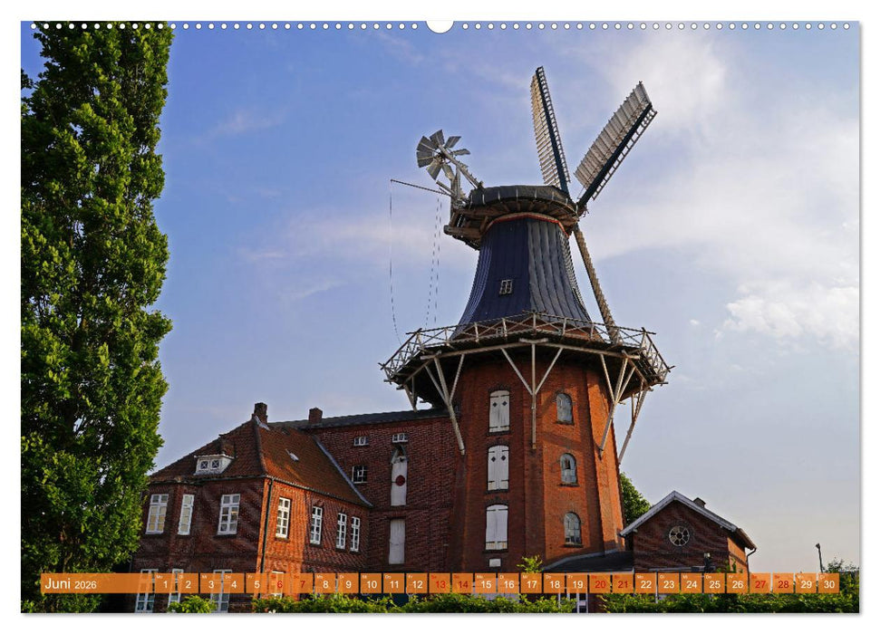 Faszination Galerieholländer (CALVENDO Premium Wandkalender 2026)