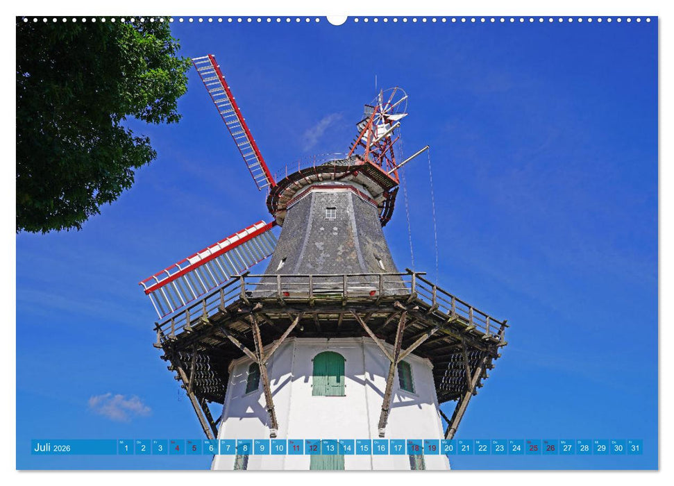 Faszination Galerieholländer (CALVENDO Premium Wandkalender 2026)