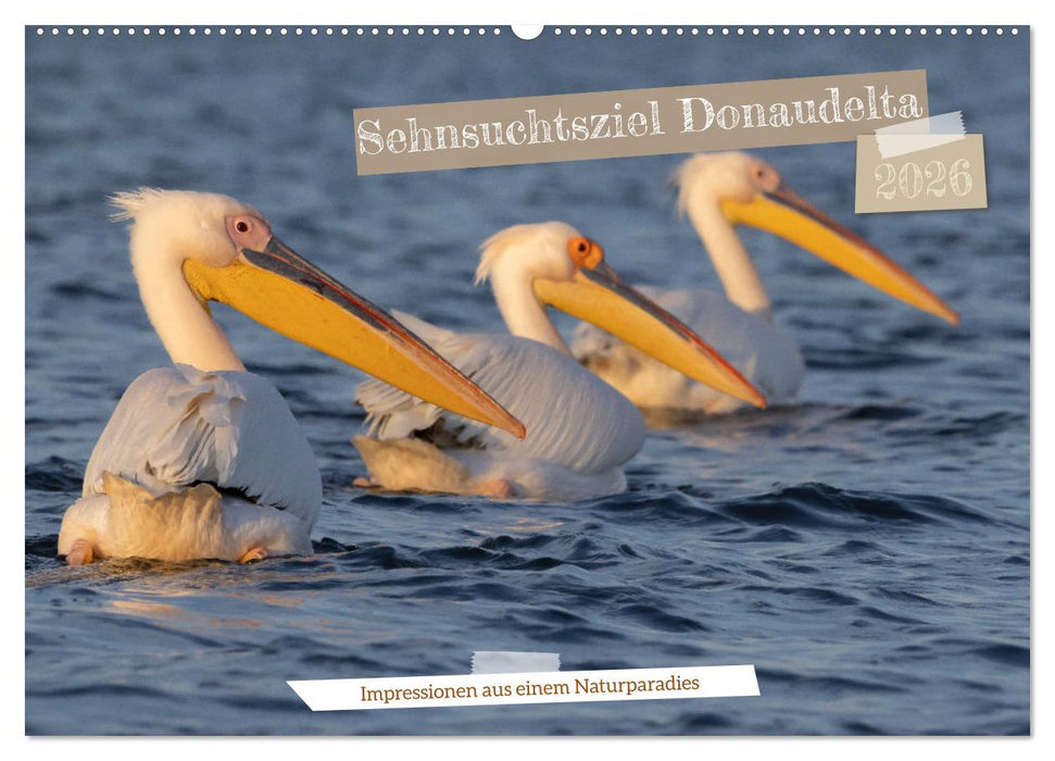 Sehnsuchtsziel Donaudelta (CALVENDO Wandkalender 2026)