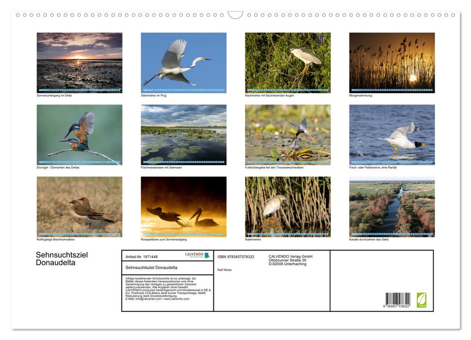 Sehnsuchtsziel Donaudelta (CALVENDO Wandkalender 2026)