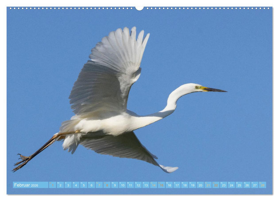 Sehnsuchtsziel Donaudelta (CALVENDO Wandkalender 2026)