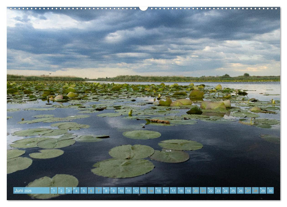 Sehnsuchtsziel Donaudelta (CALVENDO Wandkalender 2026)