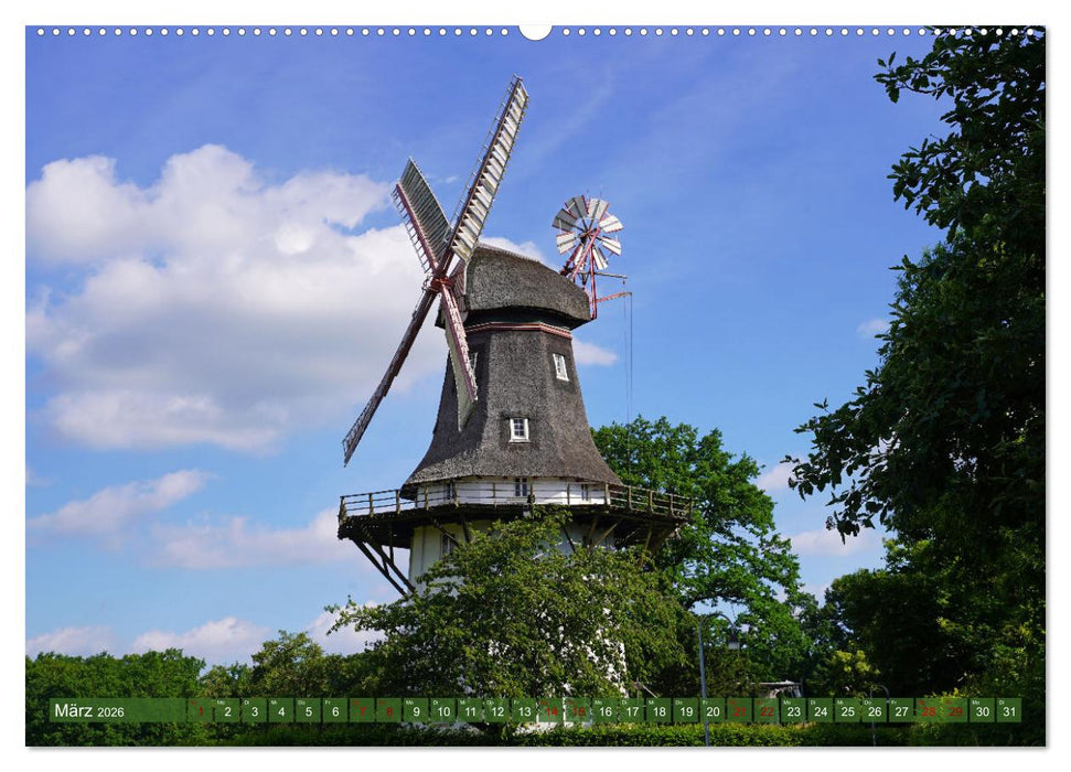 Faszination Galerieholländer (CALVENDO Wandkalender 2026)