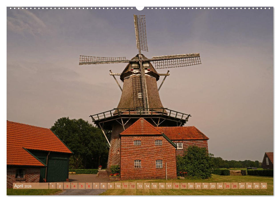 Faszination Galerieholländer (CALVENDO Wandkalender 2026)